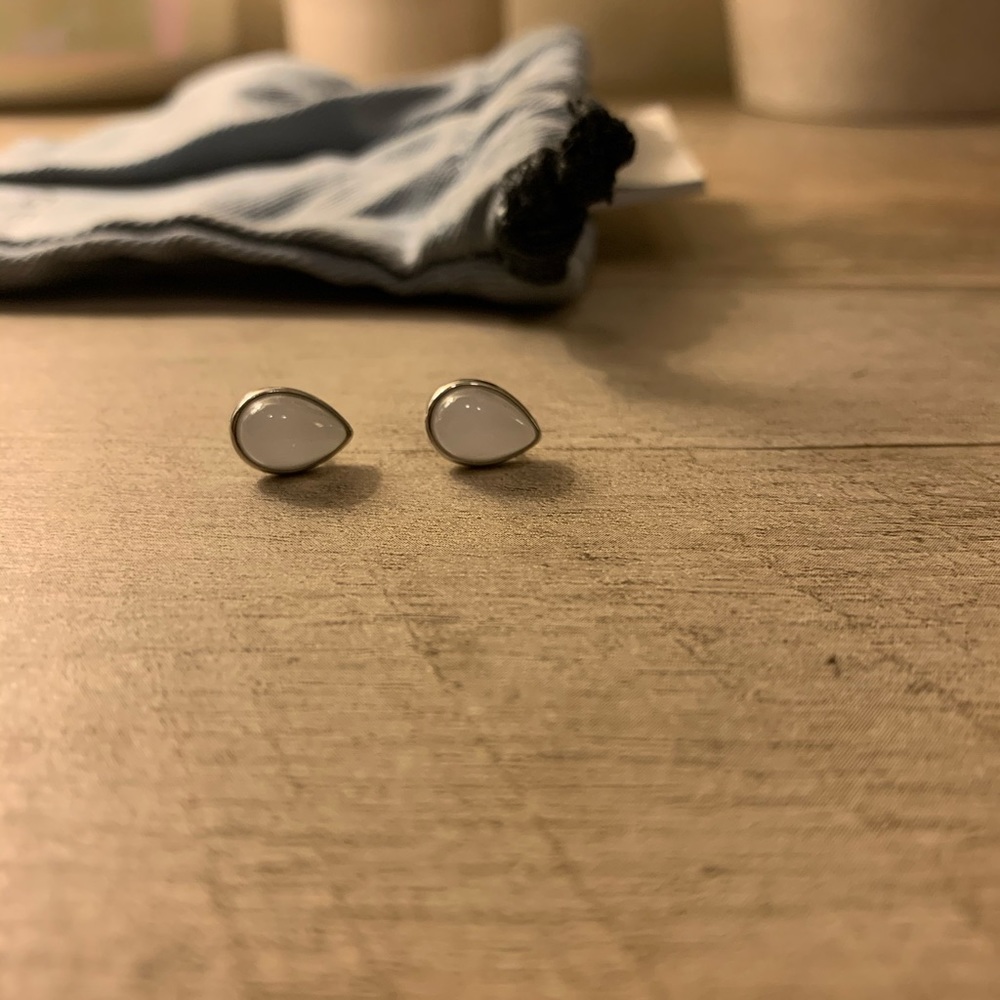 Skagen Earrings